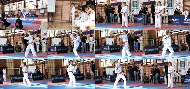 Taekwondo natjecanja – tehnika